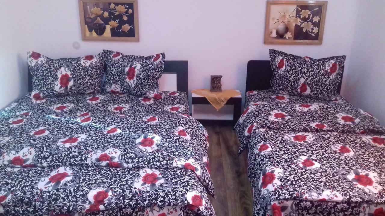 Casa Leonardo Hotel Haţeg Buitenkant foto